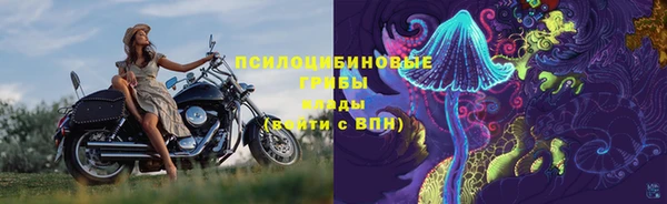 прущая мука Краснослободск